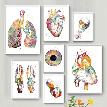 Platno HD Natisne Akvarel slika Wall Art Človekovo Srce, Možgane, Pljuča Anatomija Plakat Doma Dekor Modularni Slike Za dnevno Sobo